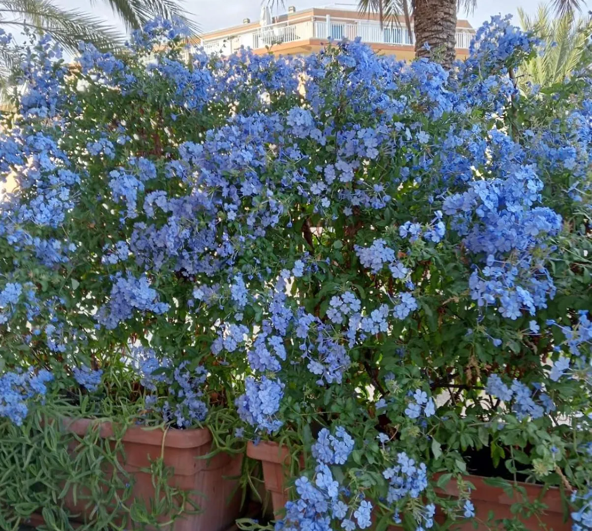 Σπίτι διακοπών La Casa Di Emy Βίλα Bordighera